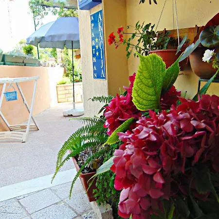 Akacija 포스티라